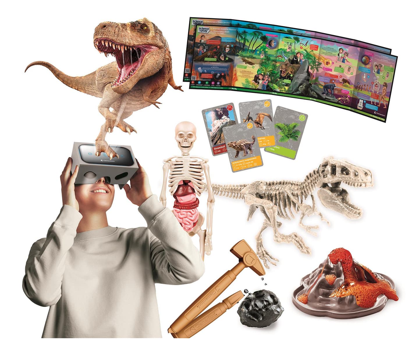 History of life on Earth